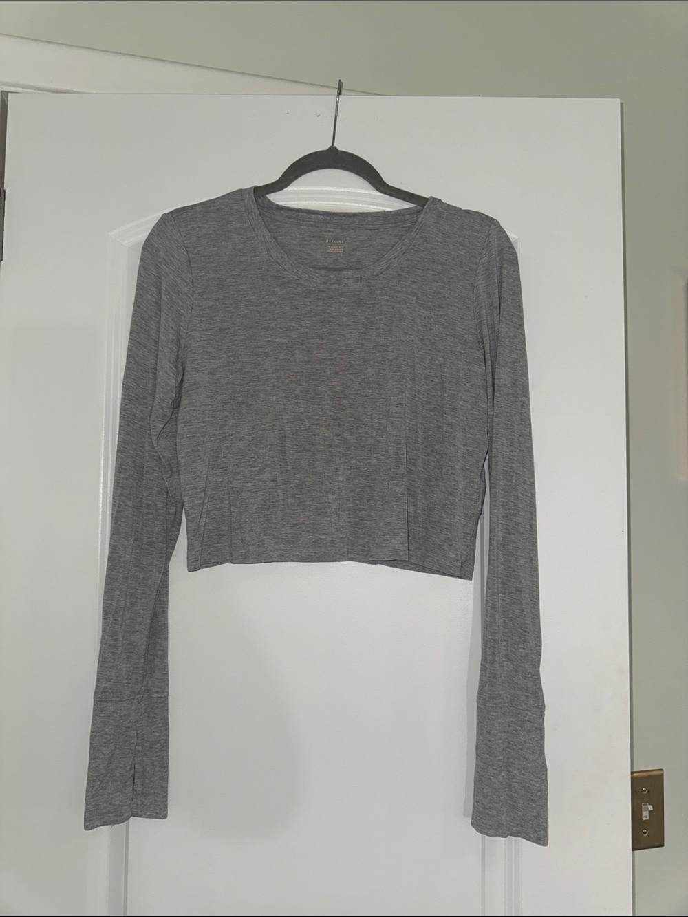 Gray Long-Sleeve Cropped Women's crop Top